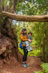 Naklejka na ściany i meble Portrait of mother and son in a tree on the trail in the mossy tree forest of Garajonay National Park, La Gomera, Canary Islands. On the excursion to Las Creces