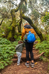 Mother and son on some stairs on the trail in the mossy tree forest of Garajonay National Park, La Gomera, Canary Islands. On the excursion to Las Creces