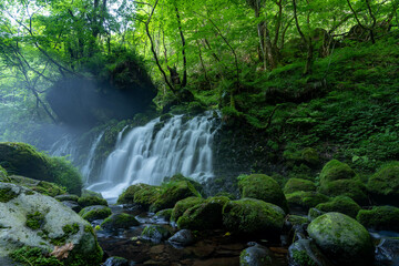 Fototapeta premium 元滝伏流水（秋田県）