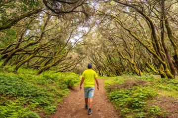 A man on the trail in the mossy tree forest of Garajonay National Park, La Gomera, Canary Islands. On the excursion to Las Creces