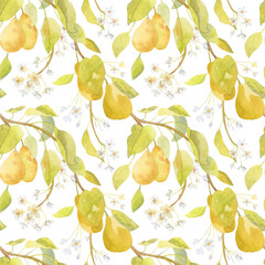 Watercolor seamless pattern with garden pear illustrations. Watercolor hand-draw branches with flowers, leaves and pear fruits on white background. Organic healthy food, backgrond for uou design.