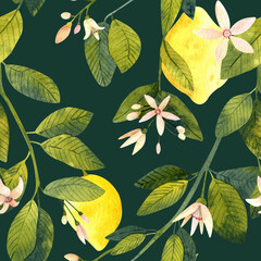 Watercolor seamless pattern with yellow lemon and lime illustrations. Watercolor hand-drawn branches with flowers, leaves and lemon fruits on dark background. Fruit, Nature background for your design.