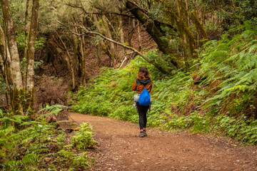 Fototapeta premium Woman trekking on the trail in the mossy tree forest of Garajonay National Park, La Gomera, Canary Islands. On the excursion to Las Creces