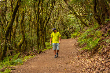 Fototapeta premium Man walking on a trek in Garajonay National Park, La Gomera, Canary Islands. The path in the forest of moss trees, in the excursion of Las Creces