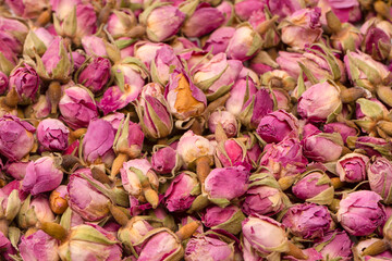 Dry tea roses isolated on white background.