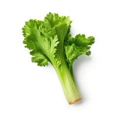 Celery isolated on white background (generative AI)