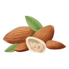 Fresh organic nuts snack, healthy and gourmet