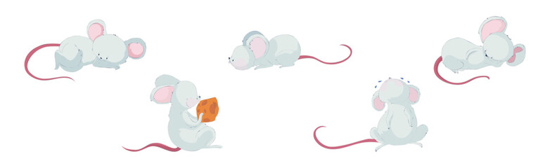 Funny White Mouse Character with Long Pink Tail Vector Set
