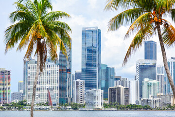 Fototapeta na wymiar High-rises crowd the downtown Miami skyline along waterfront seen through palm tress in South Florida, United States