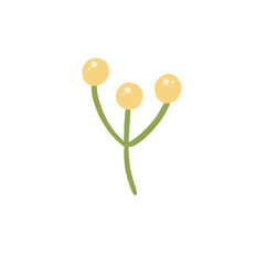 Decorative Berries Plant