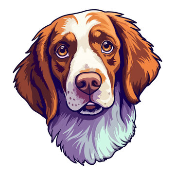 Colorful Brittany Spaniel Dog, Brittany Spaniel Portrait, Dog Sticker Clip art, Dog Lover design