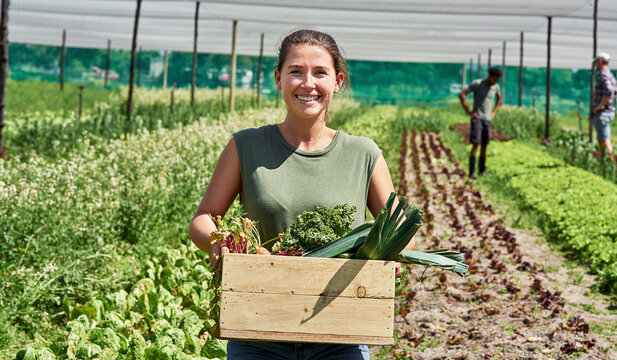 Portrait, agriculture and a woman in a greenhouse on a farm for sustainability in the harvest season. Smile, spring and food with a female farmer carrying a crate of fresh vegetables or produce