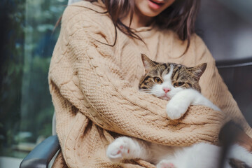 Asian woman in brown sweater holding adorable white with brown and black strip cat in her arm, cat...