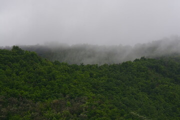 PAESAGGIO MONTANO CON NEBBIA,GIFFONI VALLE PIANA,SUD ITALIA,15 MAGGIO 2023.