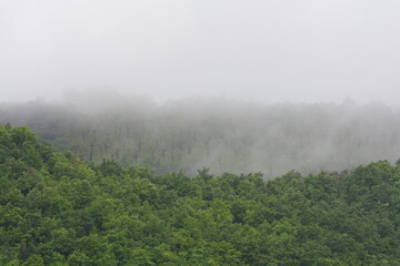 PAESAGGIO MONTANO CON NEBBIA,GIFFONI VALLE PIANA,SUD ITALIA,15 MAGGIO 2023.