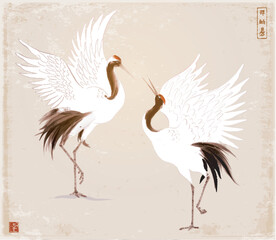 Two dancing crane birds on vintage background. Traditional oriental ink painting sumi-e, u-sin, go-hua. Hieroglyphs - zen, freedom, nature, happiness