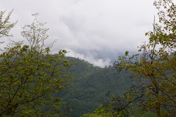 PAESAGGIO MONTANO CON NEBBIA,GIFFONI VALLE PIANA,SUD ITALIA,15 MAGGIO 2023.