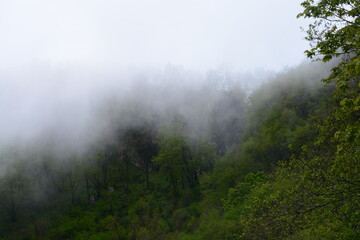 PAESAGGIO MONTANO CON NEBBIA,GIFFONI VALLE PIANA,SUD ITALIA,15 MAGGIO 2023.