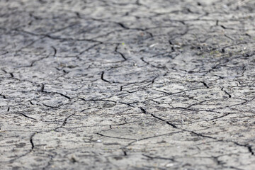 Obraz premium Dry, cracked earth. dry cracked soil texture and background on dry season
