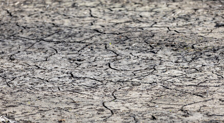 Dry, cracked earth. dry cracked soil texture and background on dry season