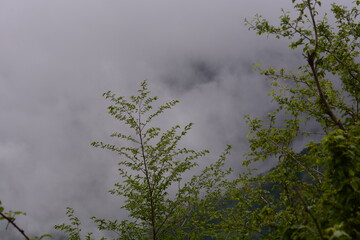 PAESAGGIO MONTANO CON NEBBIA,GIFFONI VALLE PIANA,SUD ITALIA,15 MAGGIO 2023.