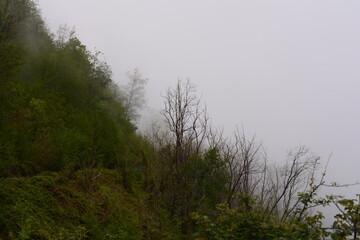 Obraz premium PAESAGGIO MONTANO CON NEBBIA,GIFFONI VALLE PIANA,SUD ITALIA,15 MAGGIO 2023.