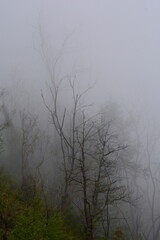 PAESAGGIO MONTANO CON NEBBIA,GIFFONI VALLE PIANA,SUD ITALIA,15 MAGGIO 2023.
