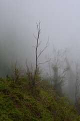 PAESAGGIO MONTANO CON NEBBIA,GIFFONI VALLE PIANA,SUD ITALIA,15 MAGGIO 2023.
