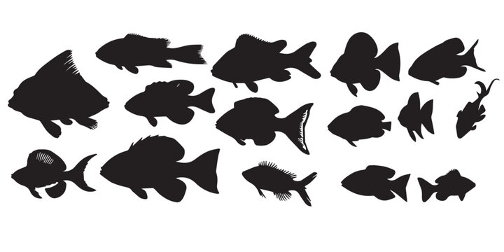 A group of fish silhouettes are shown in black and white.