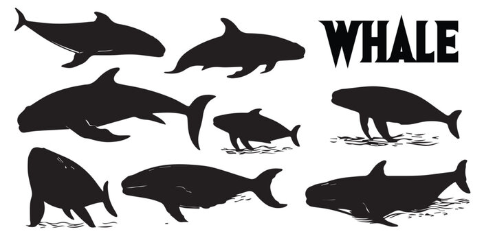 A collection of silhouettes of whales vector illustration.