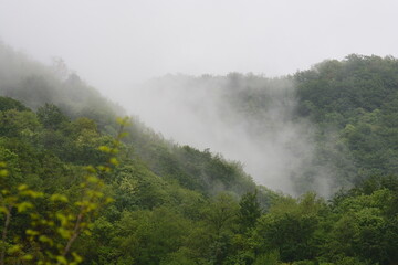 PAESAGGIO MONTANO CON NEBBIA,GIFFONI VALLE PIANA,SUD ITALIA,15 MAGGIO 2023.