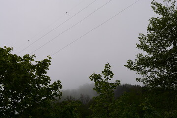 PAESAGGIO MONTANO CON NEBBIA,GIFFONI VALLE PIANA,SUD ITALIA,15 MAGGIO 2023.