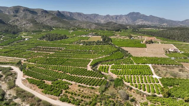 Mountains with cultivated vineyards farmland in Spain