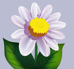 Beautiful flower vector decorative illustration