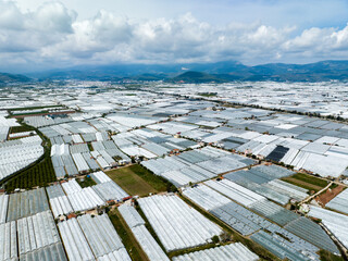 Bird's Eye View of Kumluca's Greenhouses