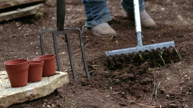 Gardener preparing soil with rake for growing plants 
