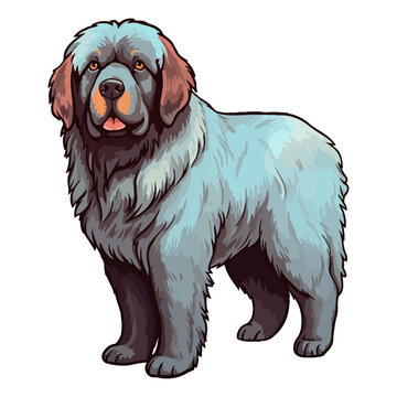 recommend clip art: Colorful Newfoundland Dog, Newfoundland Portrait, Dog Sticker Clip art, Dog Lover design