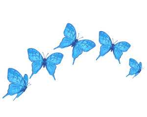 Obraz na płótnie Canvas blue watercolor butterfly design hand drawn design