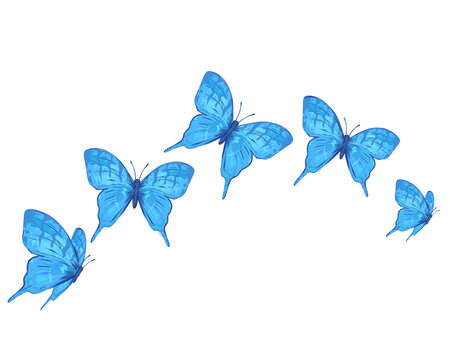 blue watercolor butterfly design hand drawn design