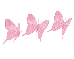 pink watercolor butterfly design hand drawn