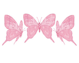 pink butterfly isolated on white