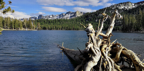 lake tahoe state