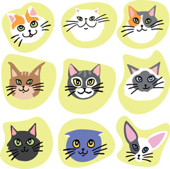 set of funny cats, cute cats