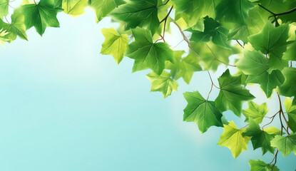 Obraz premium Botanical Beauty: Leaf Copy Space