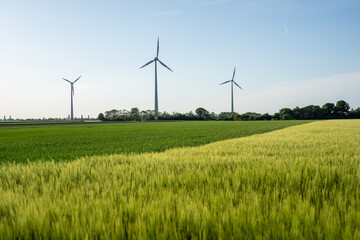 Windräder im grünen Feld
