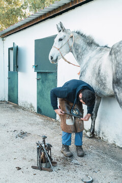 Farrier shoeing horse outside barn