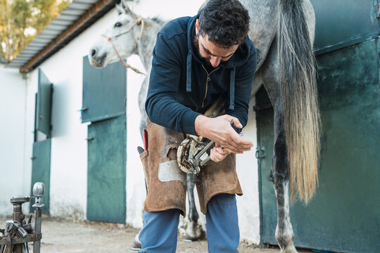 Farrier removing nails from horse hoof