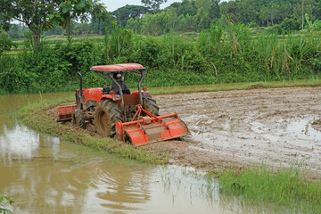 Farmers are plowing the land to plant seedlings.