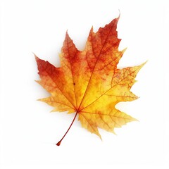 Naklejka na ściany i meble Single small Autumn Leave Clipart vector with white background Generative AI