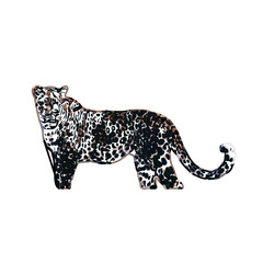color sketch of leopard with transparent background